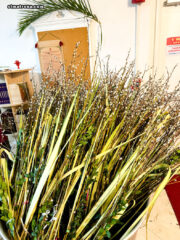 В Вербное воскресенье в православной церкви в Майами совершено праздничное богослужение