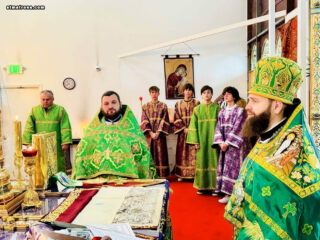 В Майамском соборе молитвенно отпраздновали Вербное воскресенье