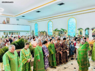В Майамском соборе молитвенно отпраздновали Вербное воскресенье