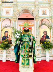 В Майамском соборе молитвенно отпраздновали Вербное воскресенье