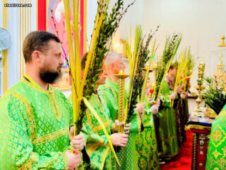 В Майамском соборе молитвенно отпраздновали Вербное воскресенье