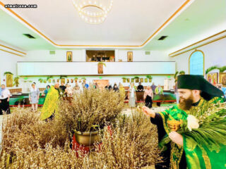 В Майамском соборе молитвенно отметили Вербное воскресенье