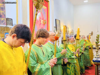 В Майамском соборе молитвенно отметили Вербное воскресенье