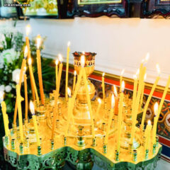 В Майамском соборе молитвенно отметили Вербное воскресенье